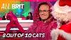 Sean Lock S Sleeping Bag Onesie 8 Out Of 10 Cats S14 E12 Full Episode All Brit
